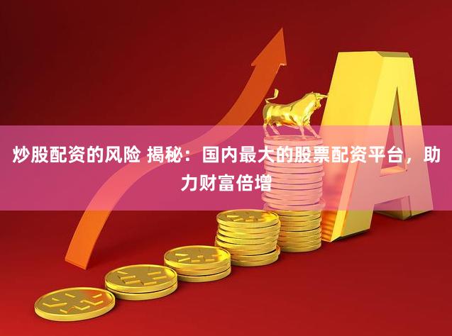 炒股配资的风险 揭秘：国内最大的股票配资平台，助力财富倍增